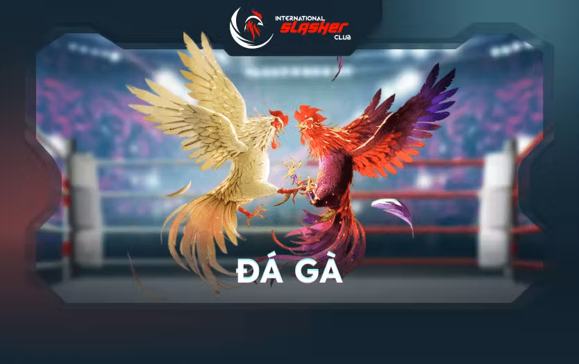 Đá Gà ISC