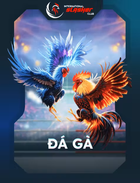 Đá Gà ISC