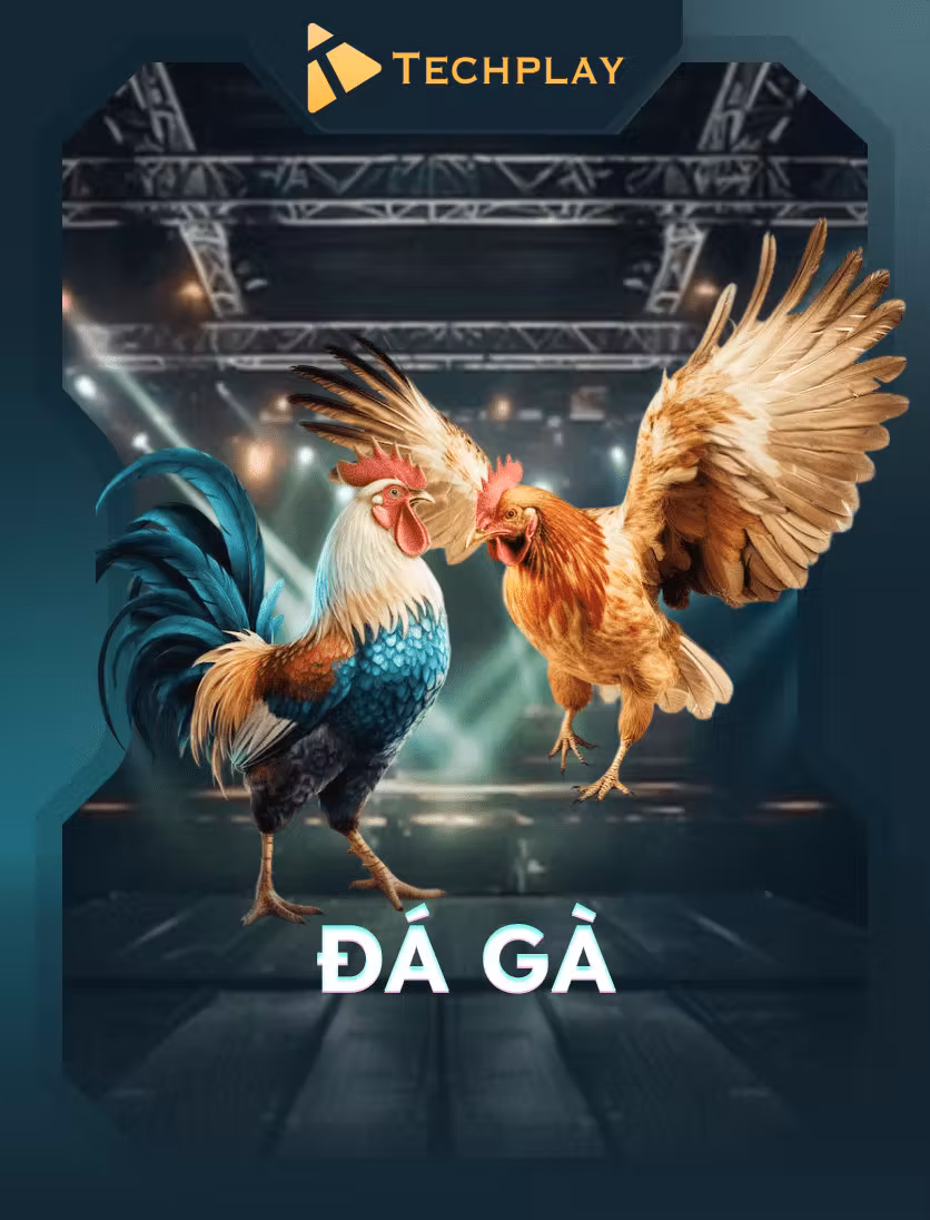 Đá Gà Techplay
