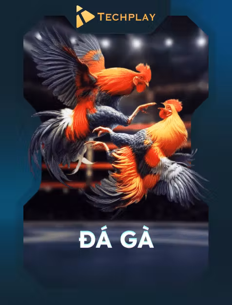 Đá Gà Techplay