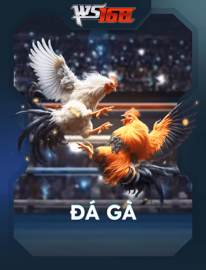 Đá Gà WS168