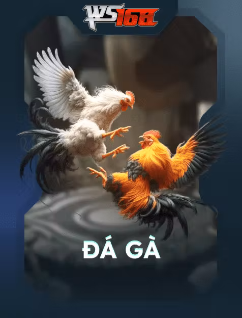 Đá Gà WS168