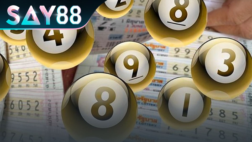 Lô Gan Là Gì? Tuyệt Chiêu Nhận Diện Kèo Chuẩn Và Chơi Không Lỗ