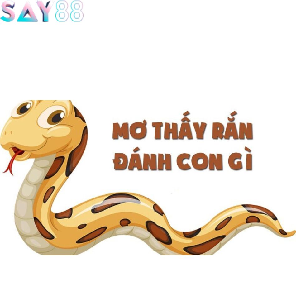 Mơ Thấy Rắn - Điềm Báo Bí Ẩn Và Cách Giải Mã Chính Xác Nhất